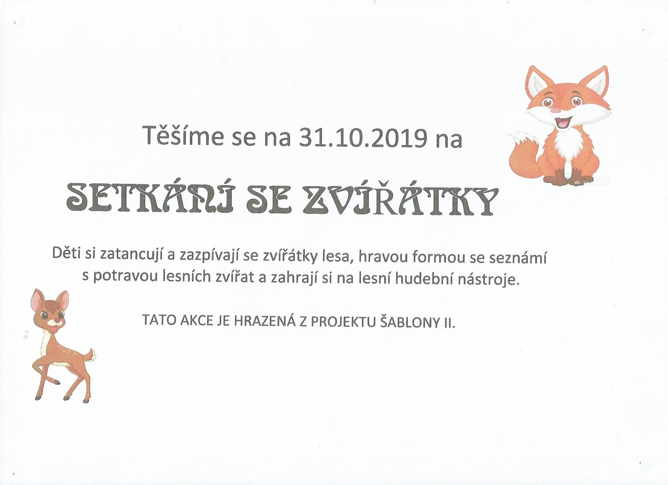 EVVO setkání se zvířátky obrázek