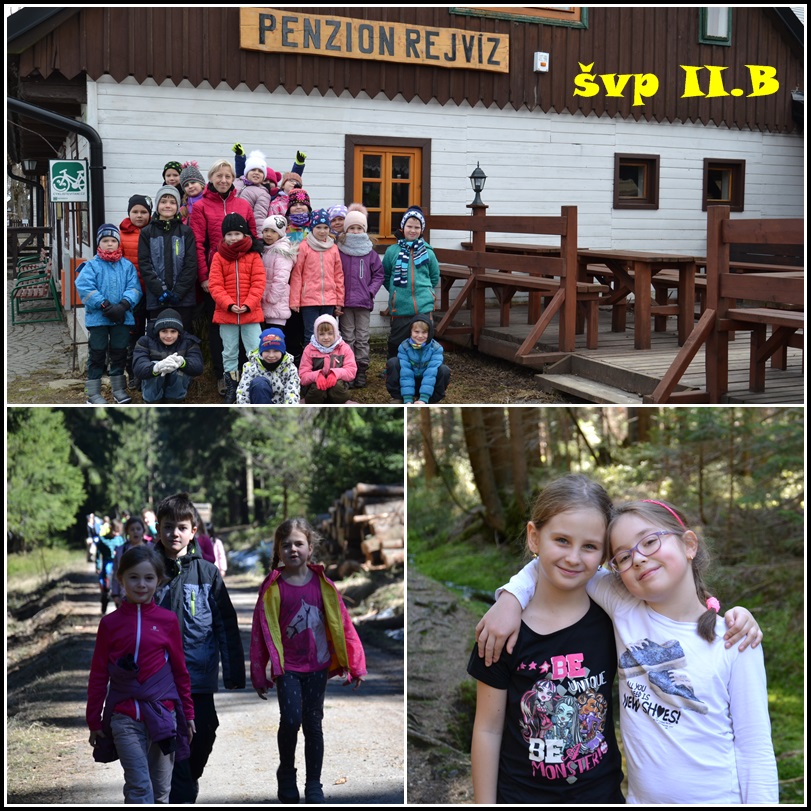 švp