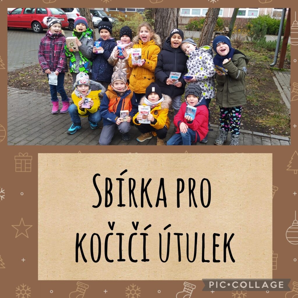 Sbírka pro opuštěné kočičky