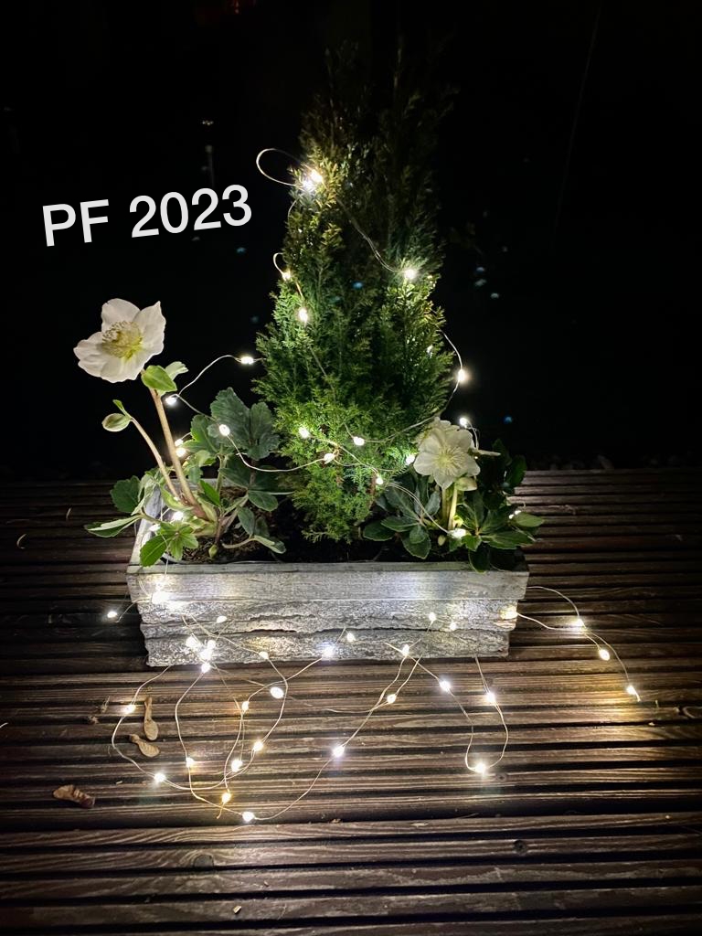 PF 2023