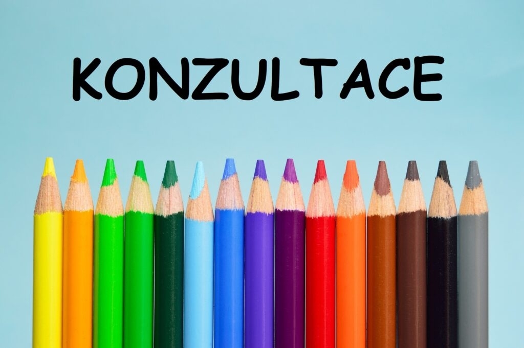 Konzultace