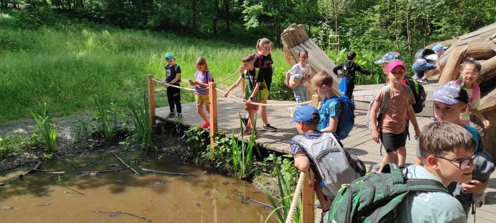 Příroda Bělského lesa pod lupou a mikroskopem
