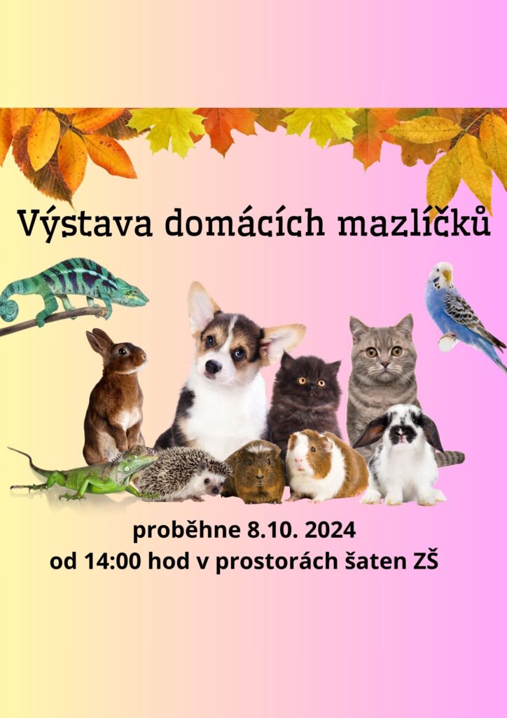 Výstava mazlíčků
