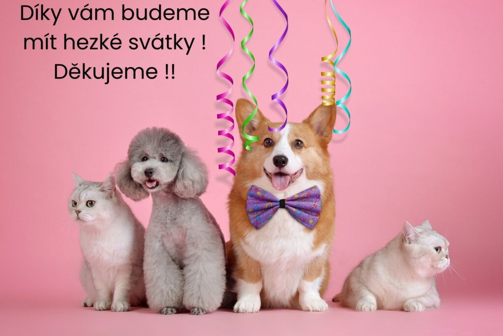 Sbírka pro útulková zvířata