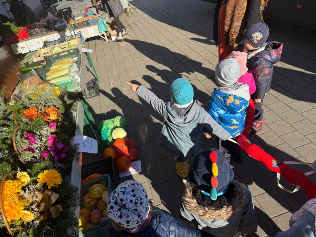 Sluníčka a podzimní téma Sklizeň