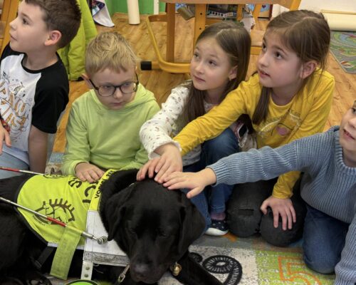 617858877_902804858944881_211389637313686802_n