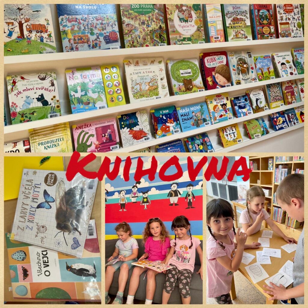 Knihovna